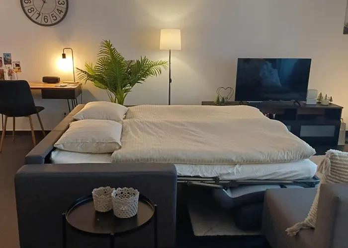 Spacieux - 2 A Coucher Incl Jacuzzi Prive