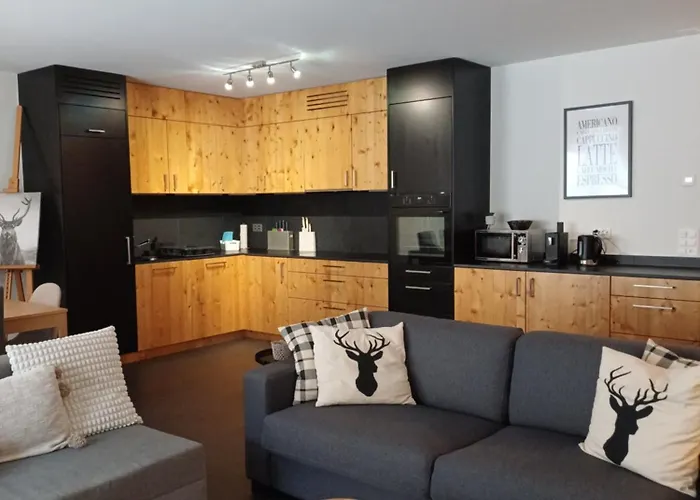 Spacieux - 2 A Coucher Incl Jacuzzi Prive Apartament *