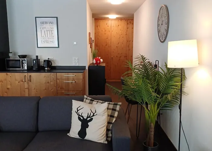 Spacieux - 2 A Coucher Incl Jacuzzi Prive *